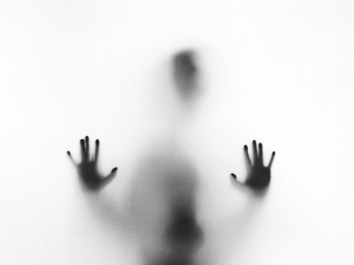 Imatge il·lustrativa