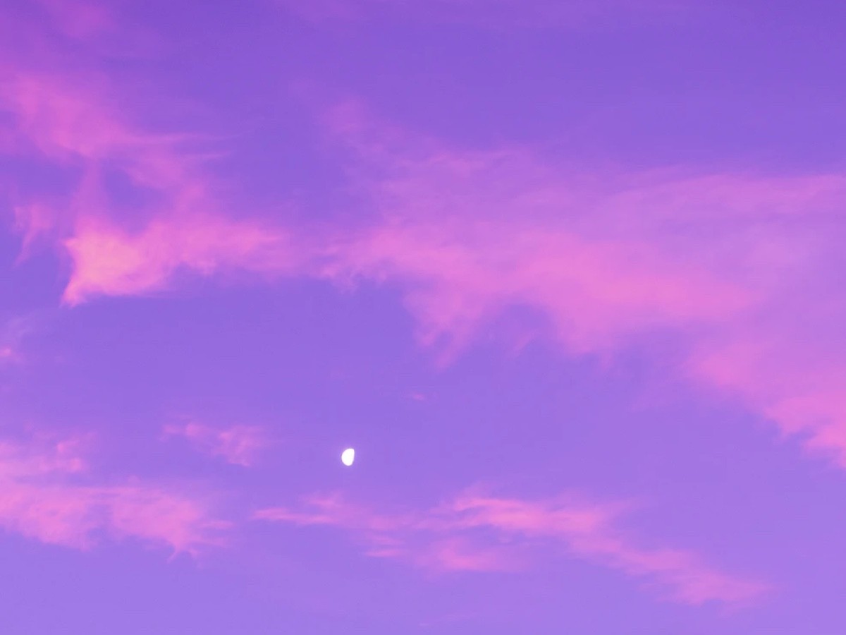 Imatge il·lustrativa