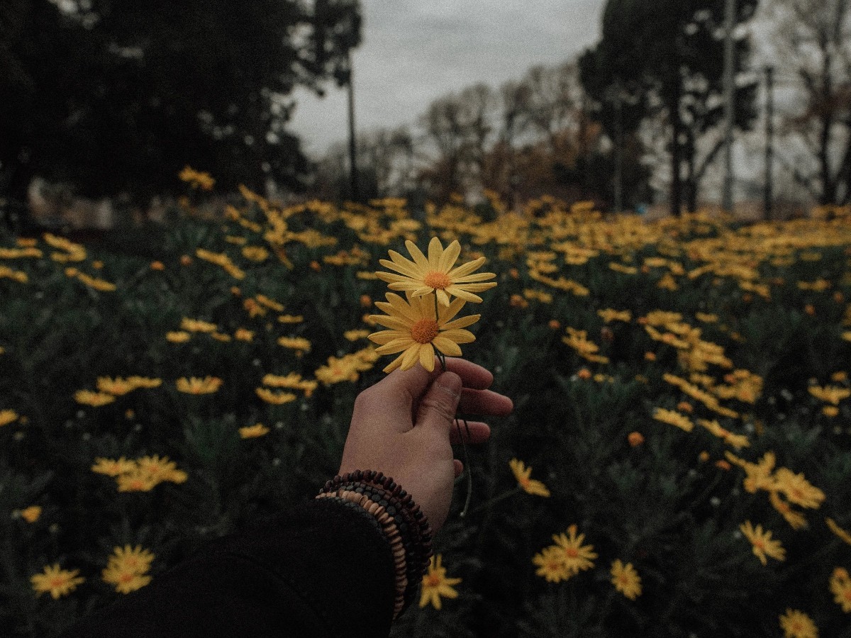 Imatge il·lustrativa